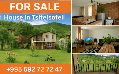 For Sale House Villa Tsilisofeli village Dusheti Mtskheta   Mtianeti