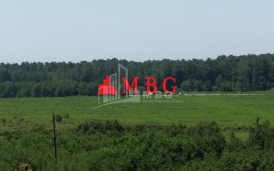 For Sale House - Villa, in Kvemo Natanebi