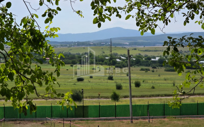 For Sale Commercial Bazaleti Dusheti Mtskheta   Mtianeti