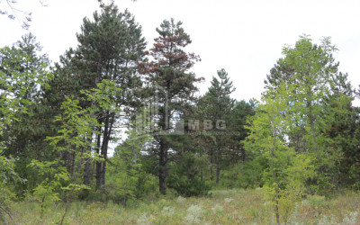 For Sale Country Land, in Daba Surami