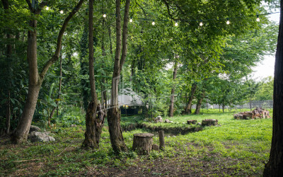 Business for sale Commercial Telavi Kakheti