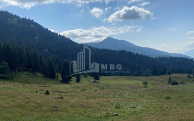 For Sale Country Land, in Khulo