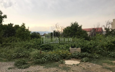 For Sale Residential Land, in Digomi 1