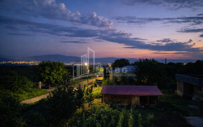 Business for sale Commercial Telavi Kakheti