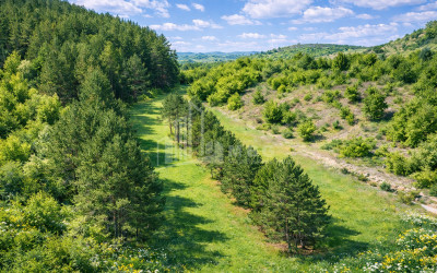 For Sale Land Daba Surami Khashuri Shida Kartli