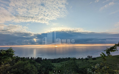 იყიდება კომერციული - არასასოფლო მიწის ნაკვეთი სარფში, ხელვაჩაური