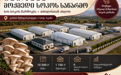 იყიდება 🍄 სოკოს საწარმოო ქარხანა კომერციული ფართი ოკამში, კასპი