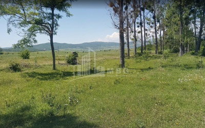 For Sale Country Land, in Village Baga