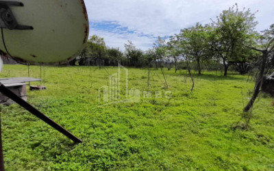 For Sale Land Grigoleti Lanchkhuti Municipalities of Guria