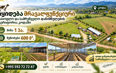 For Sale Production / warehousing space, Business yard Commercial In Koda, Tetritskaro