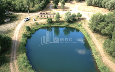 For Sale Land Kekhijvari Kareli Shida Kartli