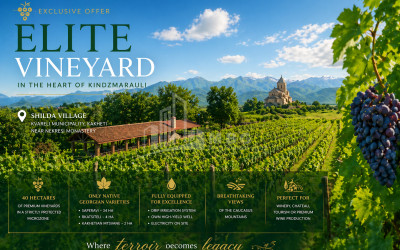 იყიდება სავენახე - საშატოე მიწის ნაკვეთი შილდაში, ყვარელი