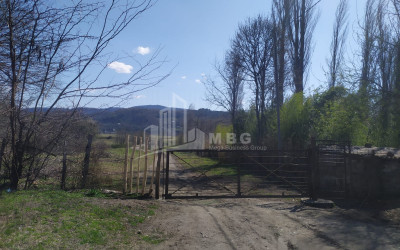 For Sale Land, Abasha Municipality, Municipalities of Samegreli   Upper Svaneti