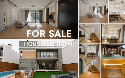 For Sale House Villa P. Kurashvili Street Dighmis Chala Saburtalo District Tbilisi