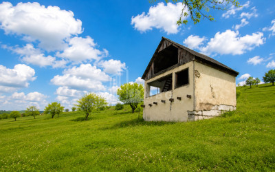 For Sale Country Land In Iltosa village, Dusheti