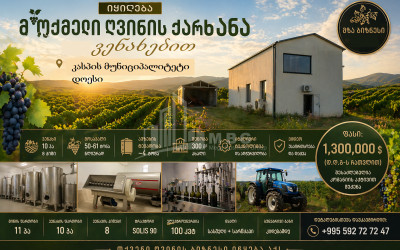 For Sale Chateau / Wine factory Commercial In Does, Kaspi