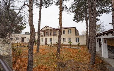 For Sale Commercial Akhmeta Kakheti