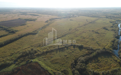 For Rent Land Maglaki Tskaltubo Imereti