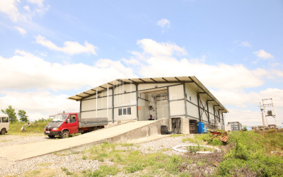 For Sale Orchards Land In Senaki