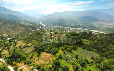 იყიდება მიწის ნაკვეთი ზემო ჟოშხა ამბროლაური რაჭა