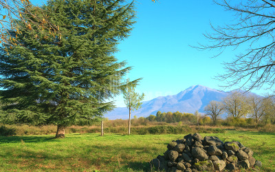 For Sale Land Eniseli Kvareli Kakheti