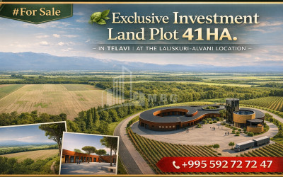 For Sale Commercial Sh. Ghambashidze Street Fikris gora Mtatsminda District Tbilisi