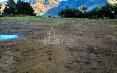 For Sale Land Sakhalvasho Kobuleti Adjara