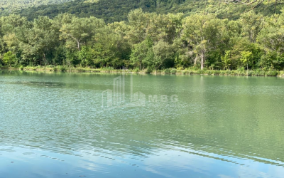 For Sale Lake - Fishing farm Land, in Gombori