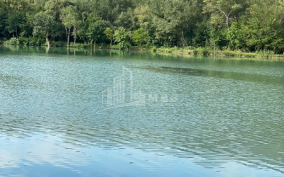 For Sale Lake - Fishing farm Land, in Gombori