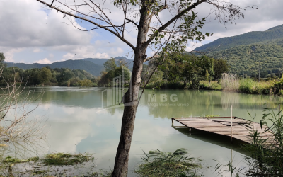 For Sale Lake - Fishing farm Land, in Gombori