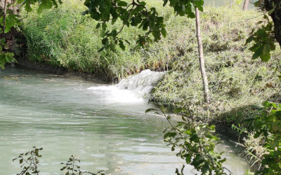 For Sale Lake - Fishing farm Land, in Gombori