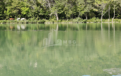 For Sale Lake - Fishing farm Land, in Gombori