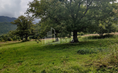 For Sale Lake - Fishing farm Land, in Gombori