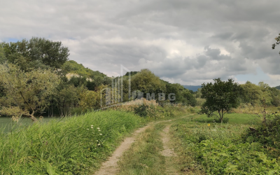 For Sale Lake - Fishing farm Land, in Gombori