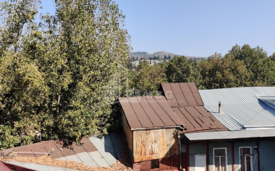 For Sale Flat, in Mtatsminda District