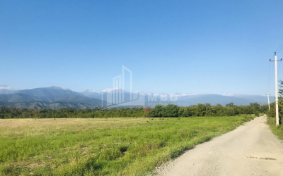 Продается Виноградник - Замковые Земля, в Телави