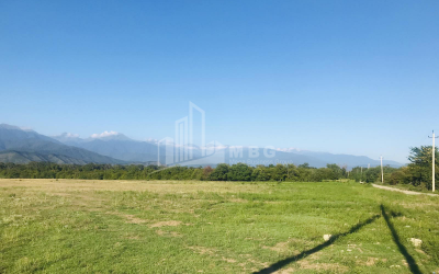 Продается Виноградник - Замковые Земля, в Телави