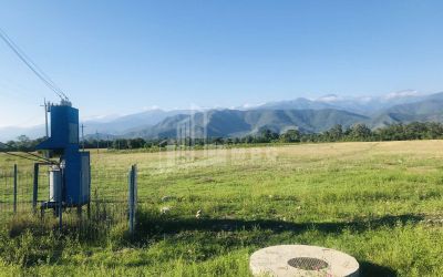 Продается Виноградник - Замковые Земля, в Телави