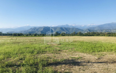 Продается Виноградник - Замковые Земля, в Телави