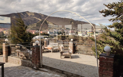 For Rent House - Villa, in Village Tsitsamuri