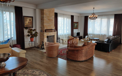 For Rent House - Villa, in Village Tsitsamuri