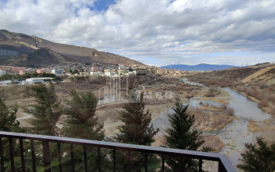 For Rent House - Villa, in Village Tsitsamuri