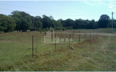 Продается Дачные Земля, в Бетаниа