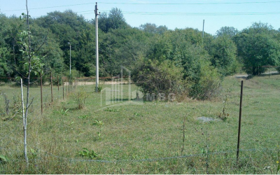 Продается Дачные Земля, в Бетаниа