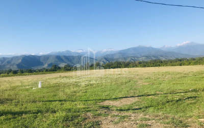 Продается Виноградник - Замковые Земля, в Телави