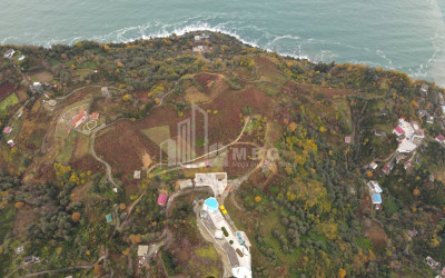 იყიდება კომერციული - არასასოფლო მიწის ნაკვეთი სარფში, ხელვაჩაური