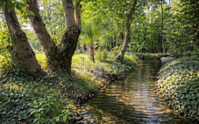 Business for sale Commercial Telavi Kakheti