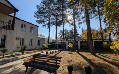 For Sale Commercial Akhmeta Kakheti