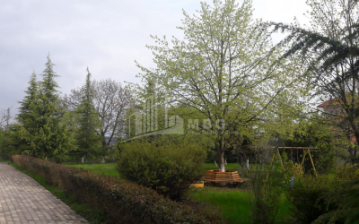 For Sale Residential Land, in Tabakhmela