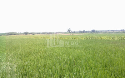 For-Sale-Land-Village-Baga-Dusheti-Mtskheta---Mtianeti
